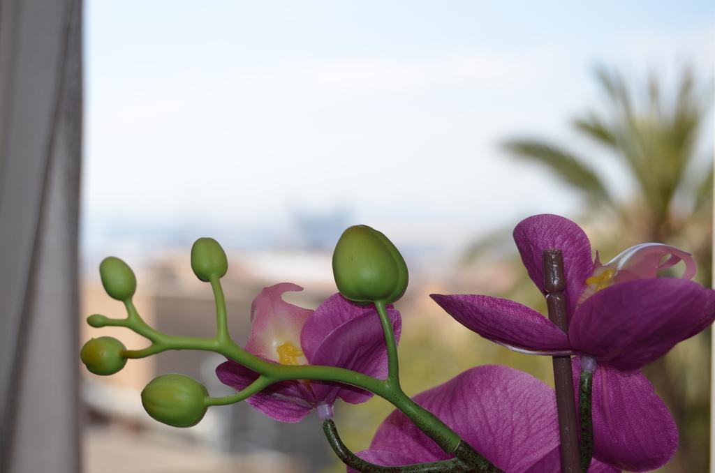 Apartsuits Tarragona Rambla Nova 24 Exterior foto